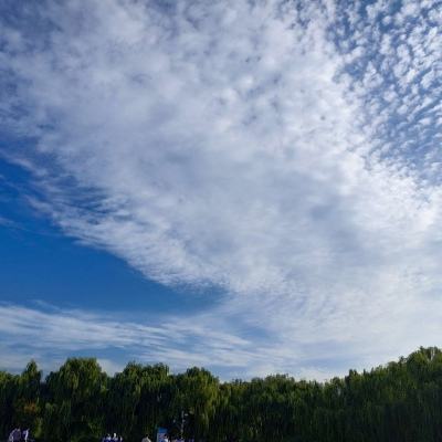 九阳神功2测试服下载